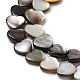 Natural Black Lip Shell Beads Strands SHEL-K006-17-3