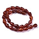Natural Carnelian Beads Strands G-N326-74-2