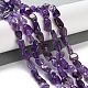 Natürlichen Amethyst Perlen Stränge&nbsp;G-P497-01C-21-2