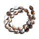 Chapelets de perles en coquillage naturel SHEL-K006-39-2