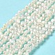 Natural Cultured Freshwater Pearl Beads Strands PEAR-E017-26-2
