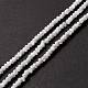 Chapelets de perles de coquille de trochid / trochus coquille SSHEL-O001-24B-02-4