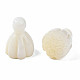 Perle trochid naturali / conchiglie trochus SSHEL-N032-39-5