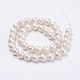 Arrugado textura perla shell perlas hebras BSHE-F013-02-6mm-2