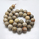 Natural Fossil Coral Round Bead Strands G-N0166-05-12mm-3