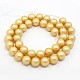 Round Shell Pearl Frosted Beads Strands BSHE-I002-14mm-19-2