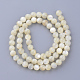 Chapelets de perles en coquillage naturel X-SSHEL-S252-03-2