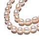 Natural Cultured Freshwater Pearl Beads Strands PEAR-S017-003-4