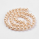 Chapelets de perles de coquille BSHE-K011-8mm-VA066-2
