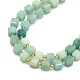 Perles d'amazonites naturelles&nbsp;G-I376-D72-01-3