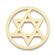 アルミフィリグリージョイナーリンク  レーザーカットフィリグリージョイナーリンク  ユダヤ人のために  ダビデの星とフラットラウンド  ゴールドカラー  50x1mm ALUM-T001-66G-1