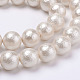Wrinkle Textured Shell Pearl Beads Strands X-BSHE-E016-10mm-07-1