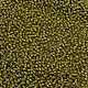 TOHO Round Seed Beads SEED-JPTR11-0246-2