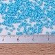 Perline miyuki delica piccole X-SEED-J020-DBS0879-3