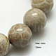 Natural Fossil Coral Beads Strands G-G212-12mm-31-1