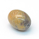 Perles de corail fossiles naturels tambour G-R347-06-2