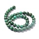 Brins de perles turquoises naturelles et synthétiques G-C180-01-3