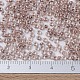 Perles rocailles miyuki rondes SEED-X0054-RR0224-4