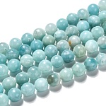 Brins de perles d'amazonite naturelles grade a+, ronde, 8mm, Trou: 1mm, Environ 49 pcs/chapelet, 15.47 pouce (39.3 cm)