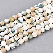 Нити светящихся бусин из натуральных ракушек SSHEL-N040-05