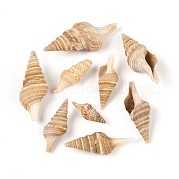 Натуральные спиральные бусы из ракушек SSHEL-N040-03
