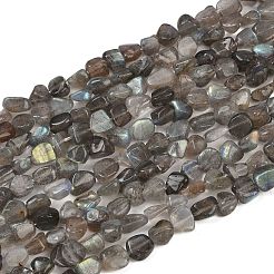 Natur Labradorit Perlen Stränge&nbsp;LS-G-Q060-E20-01