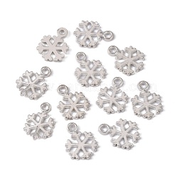 Tibetischer stil Aluminium Anhänger & Charms&nbsp;X-TIBEP-E012-S