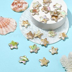 20 Stück natürliche Süßwasser-Muschelperlen im Ziehbank-Stil&nbsp;BSHE-CJ0001-08