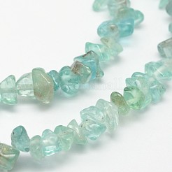 Chip apatite naturale perline fili&nbsp;G-N0164-44