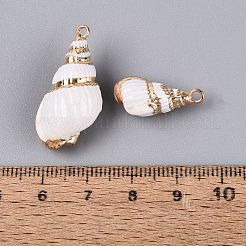Galvanisierte Anhänger aus natürlichen Muscheln&nbsp;SSHEL-Q100-06KCG