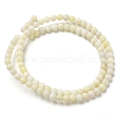 Fili di perline giada naturale&nbsp;G-H298-A04-01