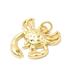 Messing Anhänger & Charms&nbsp;KK-P343-04G