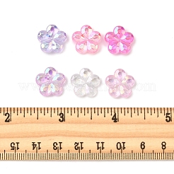 216 Stück 6 Stile transparente Acrylperlen&nbsp;PACR-FS0001-05