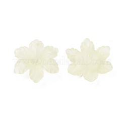 Transparente Acryl Perlen&nbsp;MACR-S373-117-D03
