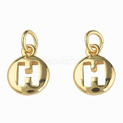Breloques en laiton&nbsp;KK-N233-239