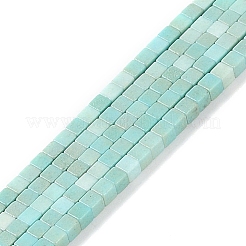 Filo di perline di agata naturale&nbsp;G-M422-A01-04E