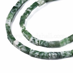 Fili di perle di diaspro spot verde naturale&nbsp;G-S299-141