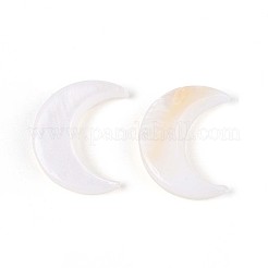 Natürliche Süßwasser Muschel Cabochons&nbsp;SHEL-S267-04B