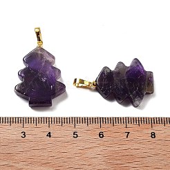 Pendenti d'ametista naturale&nbsp;G-A203-01I