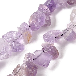Natürlichen Amethyst Perlen Stränge&nbsp;G-S386-B05