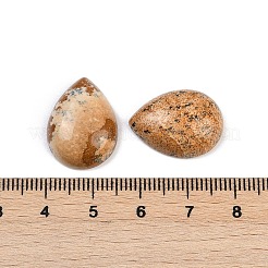 Natur Bildjaspisses cabochons&nbsp;G-H094-01A-12