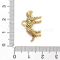 Charms in lega stile tibetano&nbsp;FIND-G077-02AG