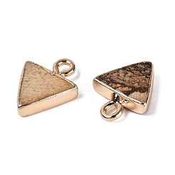 Picture naturale ciondoli diaspro&nbsp;G-Q606-103G-04