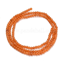 Chapelets de perles en aventurine rouge naturelle&nbsp;G-Z116-A24-2mm