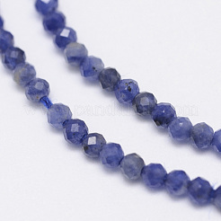 Sodalite naturale fili di perle&nbsp;G-G936-2mm-19