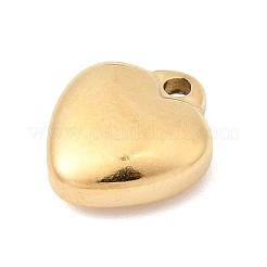 Anhänger aus Edelstahl 304&nbsp;STAS-P450-05A-G
