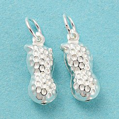 925 Sterling Silber Anhänger&nbsp;STER-B002-10S