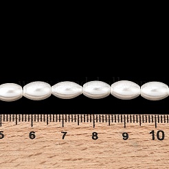 Galvanisierte Muschelperlenstränge&nbsp;BSHE-C010-02