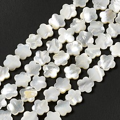 Natürlichen weißen Muschelperlen Stränge&nbsp;SHEL-F003-07