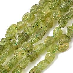 Rohe grobe natürliche Peridotperlenstränge&nbsp;G-M453-D12